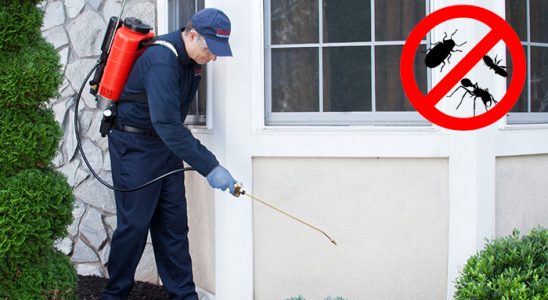Çağlayancerit Akrep İlaçlama böcek ilaçlama ve haşere kontrolü — ilaclama-tr.com